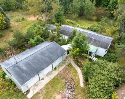 22923 1 Mile Road, Reed City