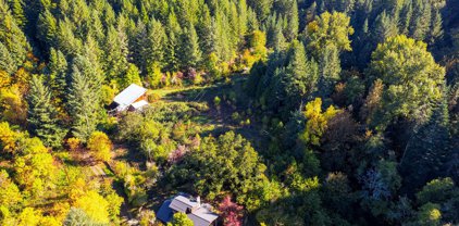 456 WARDS BUTTE RD, Cottage Grove