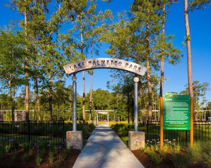 10521 Lake Palmetto Drive, Conroe