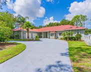 4138 Equestrian Lane, Windermere image