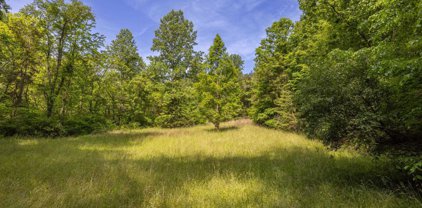 1841 Ed Jones Rd, Scottsville