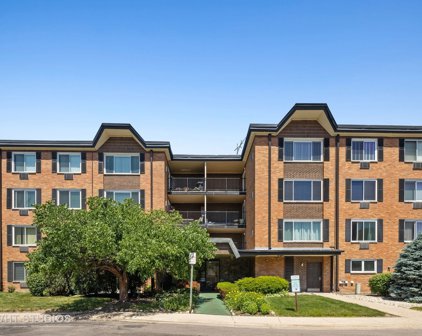 1226 S New Wilke Road Unit #304, Arlington Heights