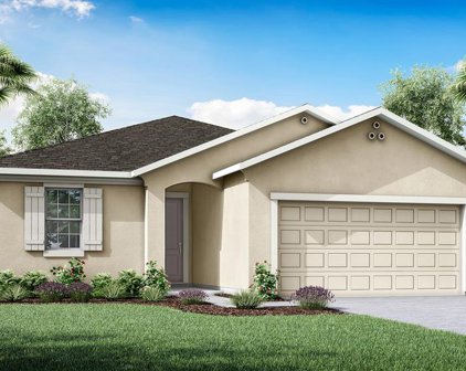 903 Honey Petal Lane, Deland