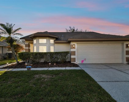 1202 Mistwood Drive, Tarpon Springs