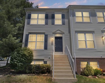 461 Andromeda Ter Ne, Leesburg
