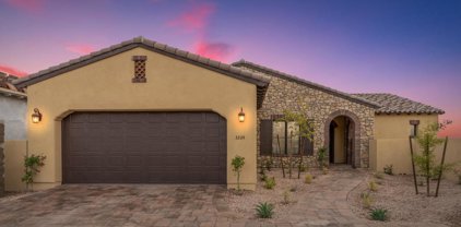 3282 S Coffeeberry Court, Gold Canyon