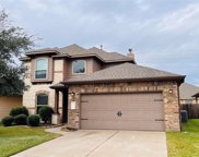 25435 Dappled Filly Drive, Tomball image