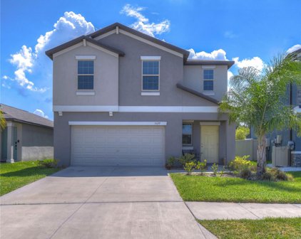 5129 White Chicory Drive, Apollo Beach