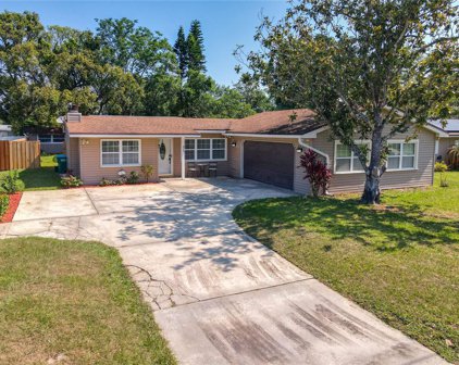 425 Tullis Avenue, Longwood