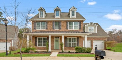 6335 Torrence Trace  Drive, Huntersville