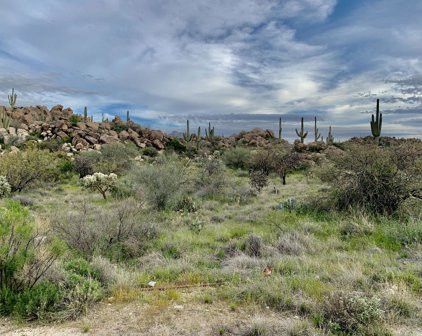 1484 W Tortolita Mountain Unit #294, Oro Valley