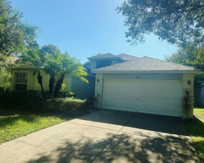 13405 Fawn Springs Drive, Tampa