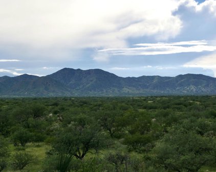 17690 S Wright Brothers Way, Sahuarita