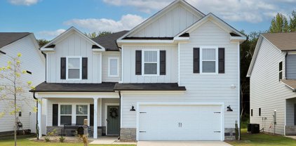 302 Alyssa Landing Drive, Fountain Inn