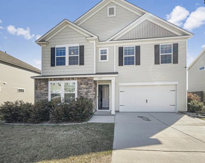 255 Meadow Saffron Drive, Lexington