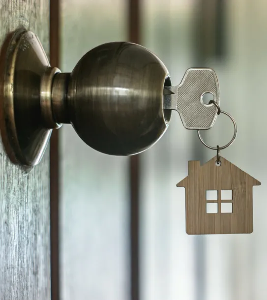 Home Search