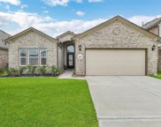 20167 Swinley Forest Drive, Cleveland image