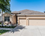 12128 Streambed Drive, Riverview image