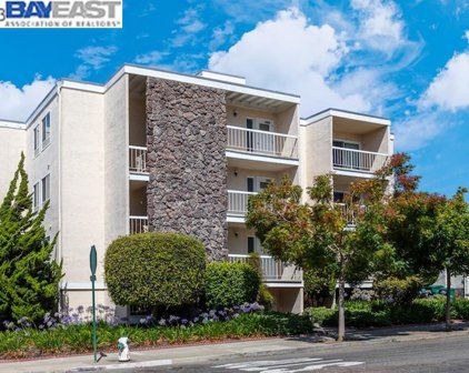 1221 Brighton Ave 11, Albany