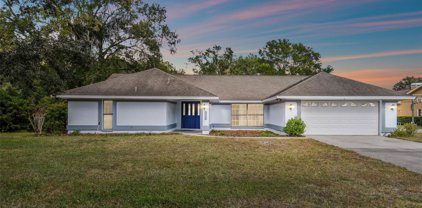 1007 Hastings Court, Lutz