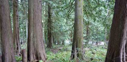 19 Valley Crest Way, Bellingham