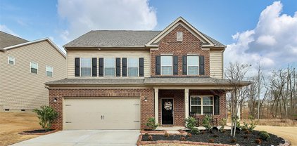 1562 Trentwood  Drive, Fort Mill