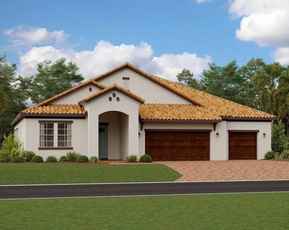 5510 Silent Crest Drive, Wimauma