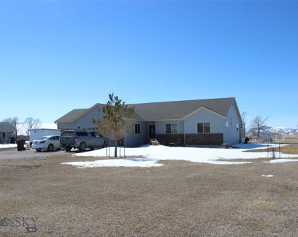 195 Goshawk Lane, Dillon