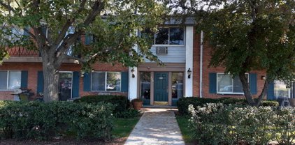 2319 S Goebbert Road Unit #104, Arlington Heights