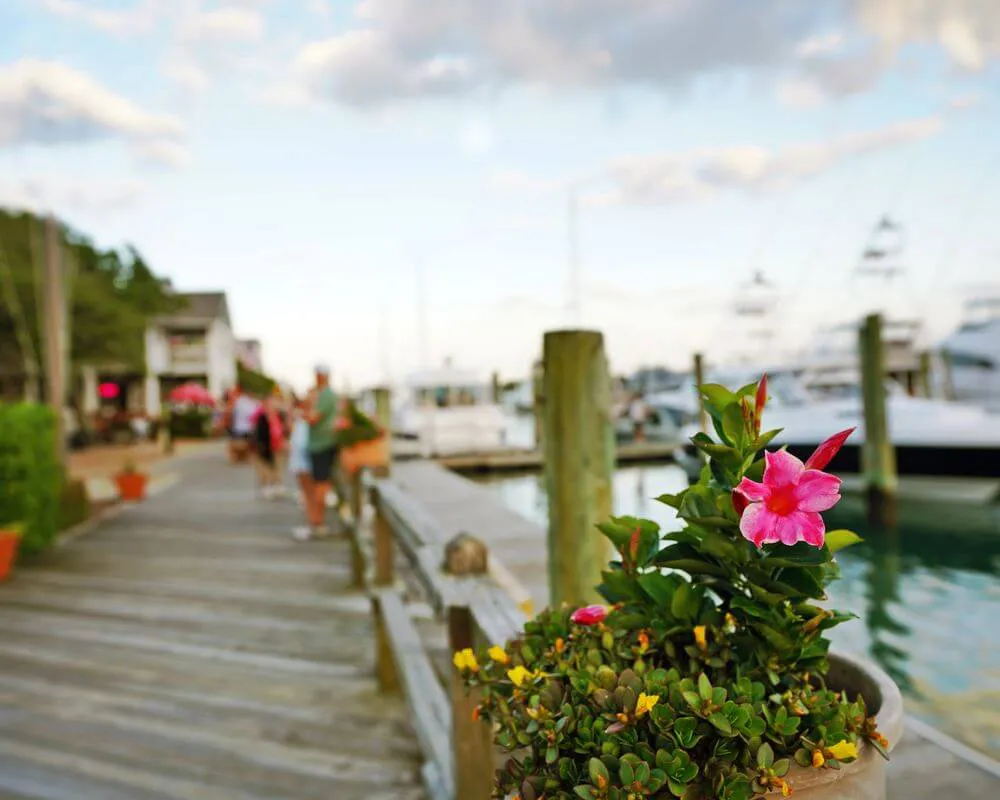 Beaufort/Morehead City Real Estate