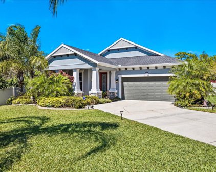 1230 Windy Bay Shoal, Tarpon Springs