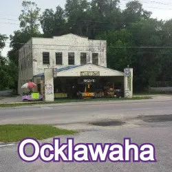 Ocklawaha Florida Homes for Sale