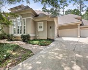 39 N Lakemist Harbour Place, The Woodlands image