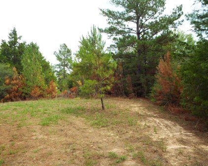 Lot 4 & 5 Dove Lane, Hempstead