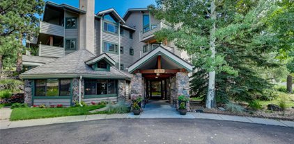 31819 Rocky Village Drive Unit 214, Evergreen