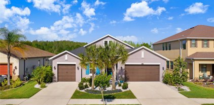 1831 Whitewillow Drive, Wesley Chapel