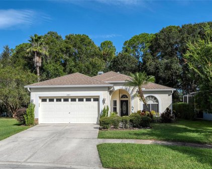 12815 Killarney Court, Odessa