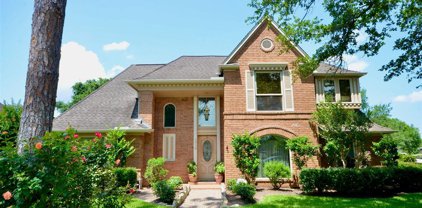 1715 White Wing Circle, Friendswood