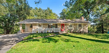 9962 Oak Lea Ct, Ellicott City