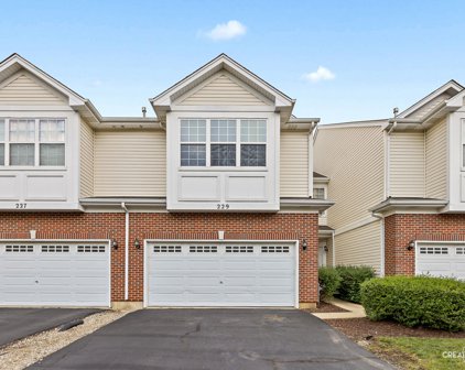 229 S Alder Creek Drive, Romeoville