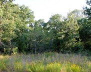 115 Hauula Court, Bastrop image