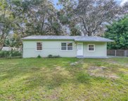 11115 Hannaway Drive, Riverview image