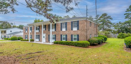 936 Lansing Drive Unit #D, Mount Pleasant