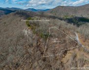 Lot 80 Waterdance Drive, Tuckasegee image