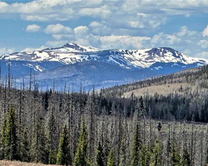 F.S. Rd 610, Creede