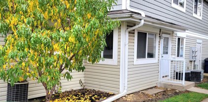 1505 Sutter Drive Unit #44-3, Hanover Park