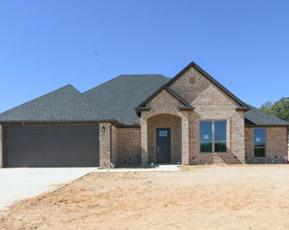 14139 Lexi Court, Tyler