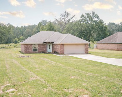 156 COUNTY ROAD 238, Tyler