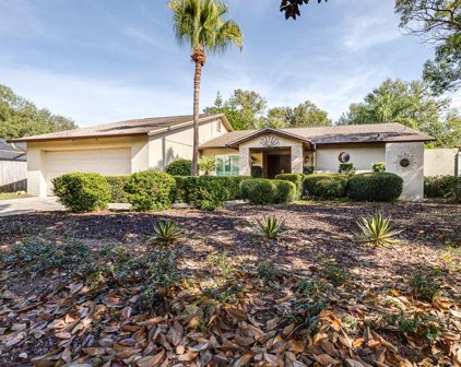 3008 Taragrove Drive, Tampa