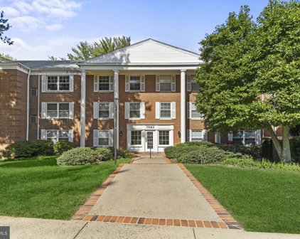 7680 Tremayne Pl Unit #305, Mclean